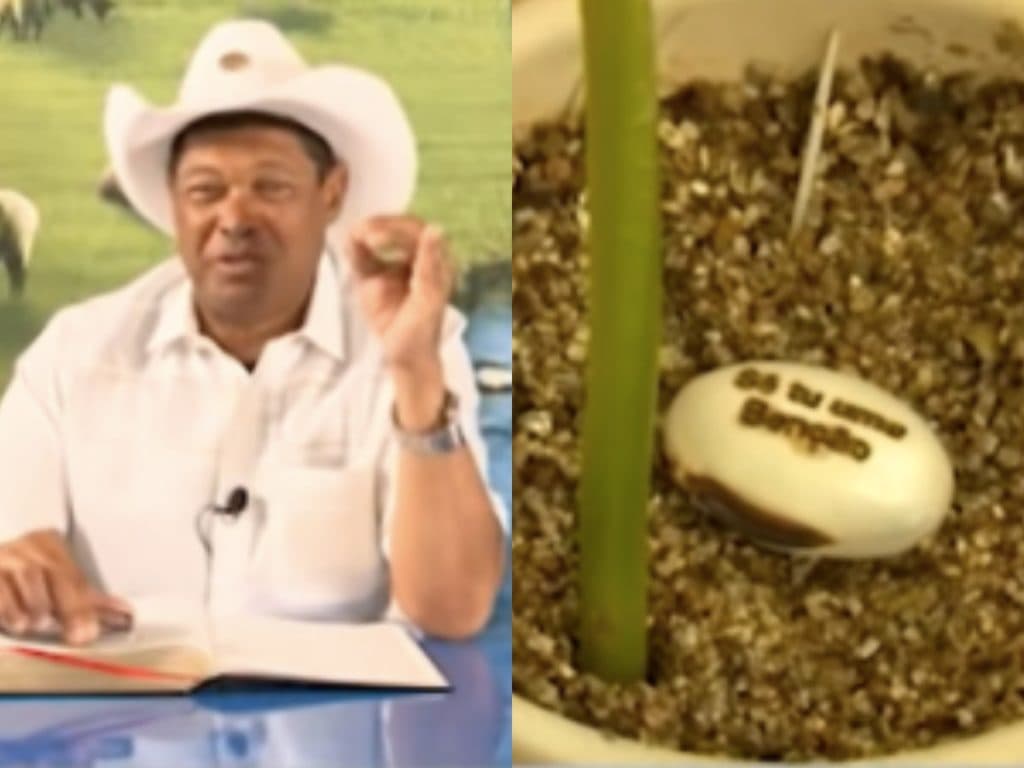 Valdemiro Santiago anuncia semente milagrosa por R$ 1 mil contra doença grave e causa revolta: "Absurdo"