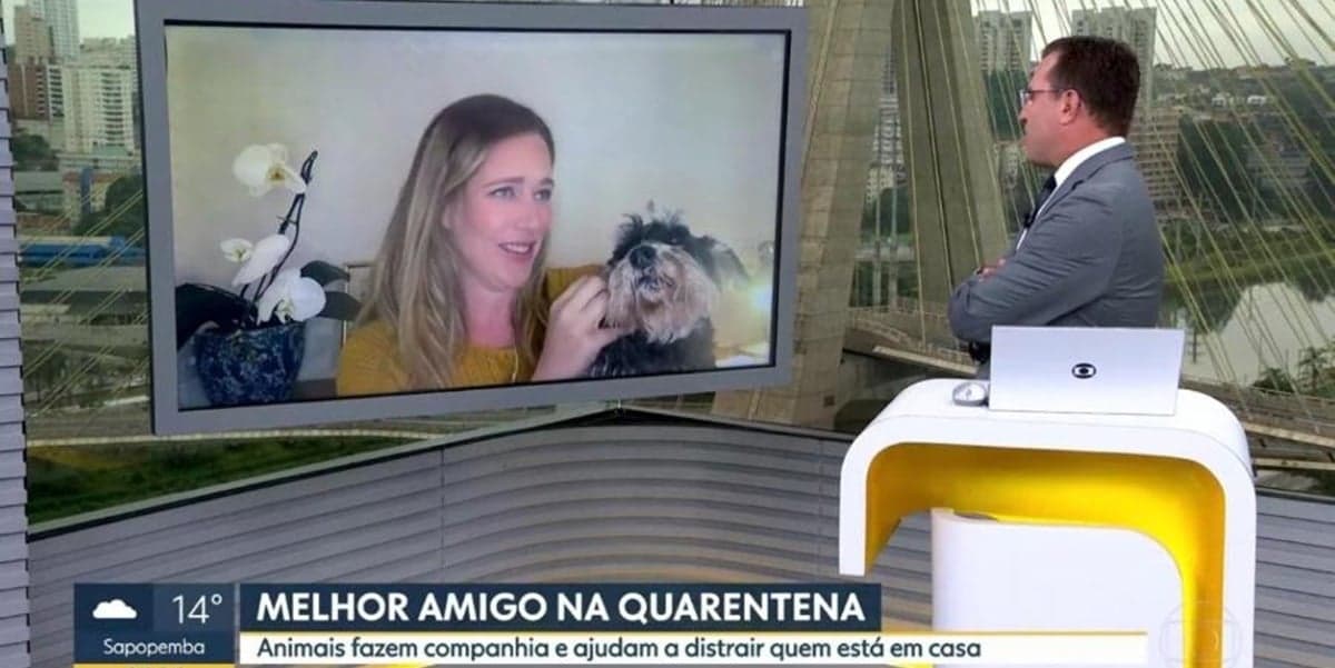 Rodrigo Bocardi "batendo papo" com cachorro (Foto: Reprodução) Rodrigo Bocardi "batendo papo" com cachorro (Foto: Reprodução)