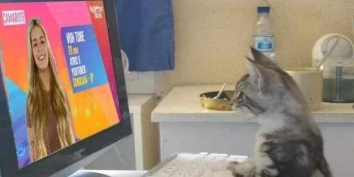 Felino votando na saída de Viih Tube do BBB21 (Foto: Reprodução) Felino votando na saída de Viih Tube do BBB21 (Foto: Reprodução)