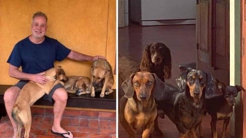 Fotos de casão luxuoso com 16 cachorros: Luiz Fernando Guimarães mostra casa, após se assumir gay Fotos de casão luxuoso com 16 cachorros: Luiz Fernando Guimarães mostra casa, após se assumir gay