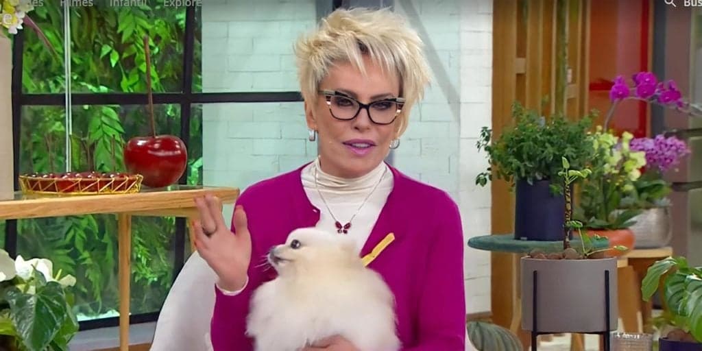 Ana Maria chama plantão às pressas e repórter entra ao vivo com notícia e de pernas pro ar: "Convocada"