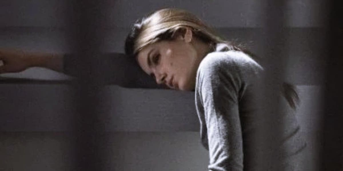 Imagem do post Imagem do post