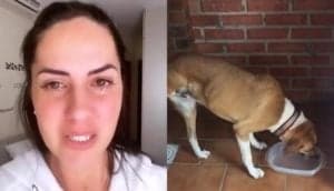 Graciele Lacerda apareceu aos prantos em sua rede social (Foto: Reprodução / Instagram) Graciele Lacerda apareceu aos prantos em sua rede social (Foto: Reprodução / Instagram)