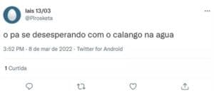 Lagarto chamou a atenção na piscina do BBB22 (Foto: Reprodução / Twitter) Lagarto chamou a atenção na piscina do BBB22 (Foto: Reprodução / Twitter)