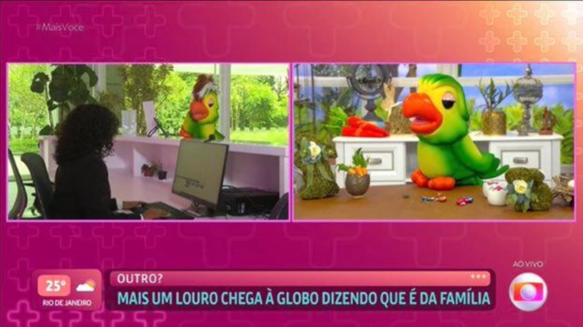 Lourinho faz interrogatório para saber se o novo papagaio não é charlatão Lourinho faz interrogatório para saber se o novo papagaio não é charlatão