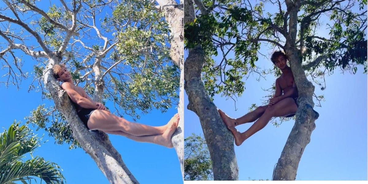 André Luiz Frambach se pendurando em árvore (Foto: Instagram) André Luiz Frambach se pendurando em árvore (Foto: Instagram)