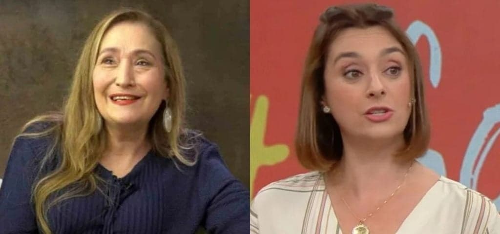 Sonia Abrão responde recado que Catia Fonseca mandou pra ela na TV e divulga vídeo: “Enviando outros”