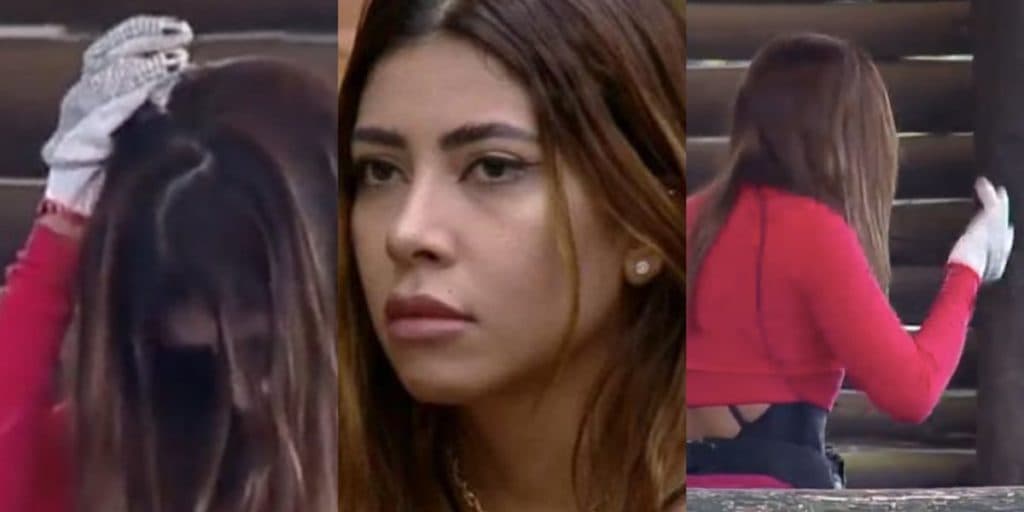 A Fazenda 14 - Ingrid sofre acidente ao cuidar de animais e reclama de dor: "Minha cabeça tá sagrando"