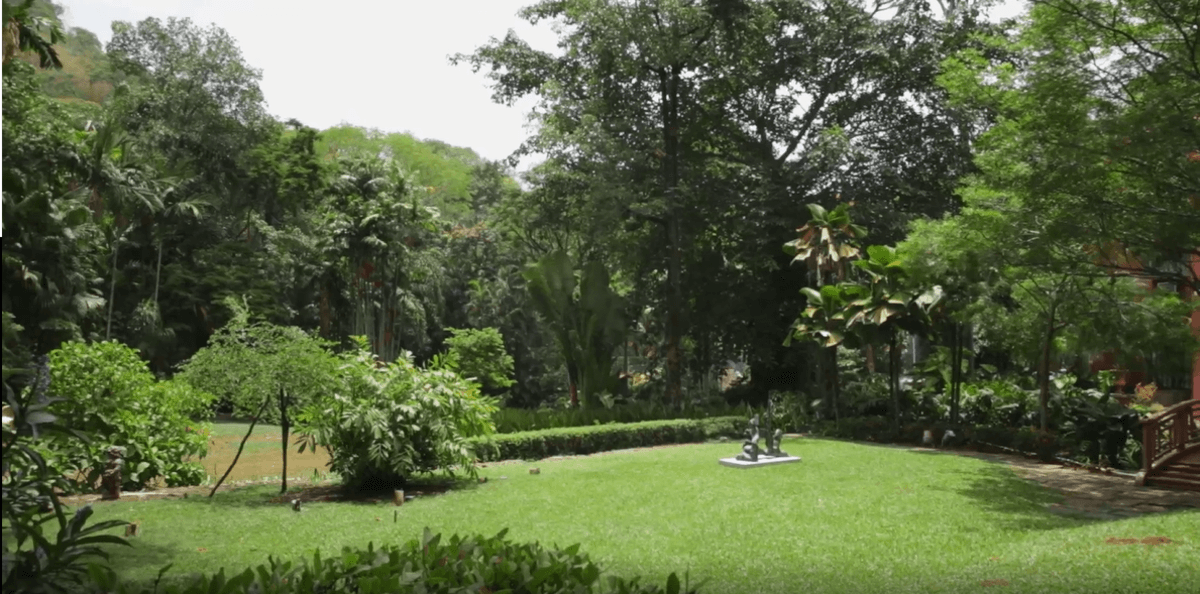 Jardim da casa com muitas plantas e árvores suntuosas (Foto Reprodução/Internet) Jardim da casa com muitas plantas e árvores suntuosas (Foto Reprodução/Internet)