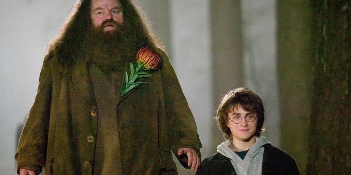 Estrela de Harry Potter tem morte confirmada (Reprodução) Estrela de Harry Potter tem morte confirmada (Reprodução)