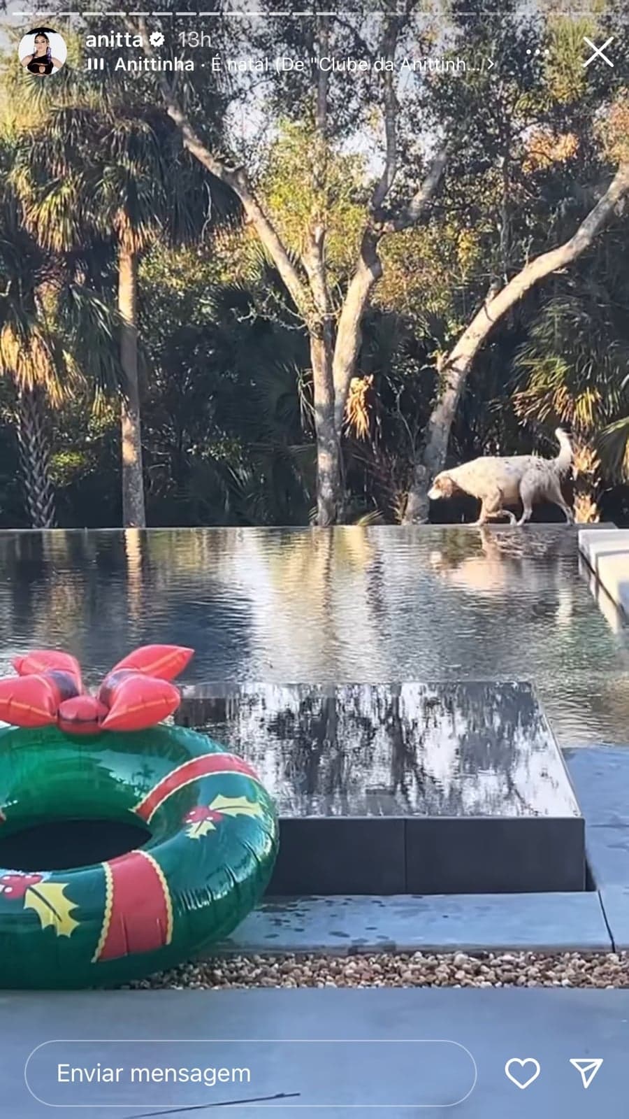 Piscina que tem na mansão de Anitta (Reprodução) Piscina que tem na mansão de Anitta (Reprodução)