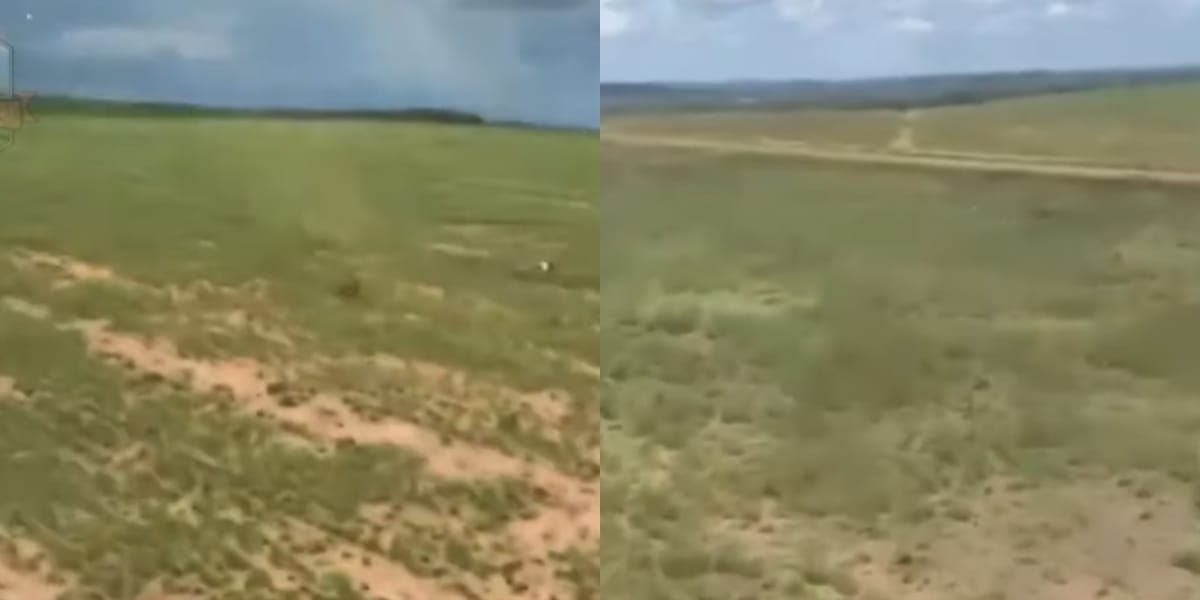 A fazenda de Zé Neto é gigante e parece não ter fim (Reprodução: Youtube) A fazenda de Zé Neto é gigante e parece não ter fim (Reprodução: Youtube)