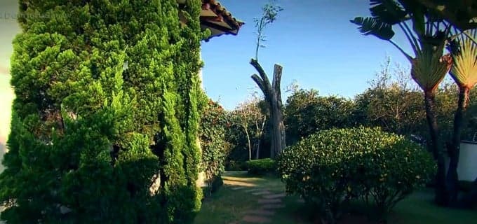 Imagem do post Imagem do post