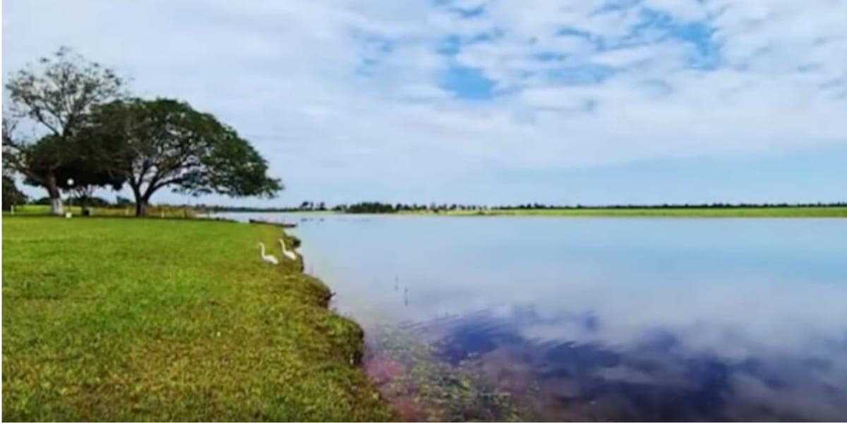 A fazenda de Marrone possui um lago enorme particular onde faz pescas esportivas (Reprodução: Youtube) A fazenda de Marrone possui um lago enorme particular onde faz pescas esportivas (Reprodução: Youtube)