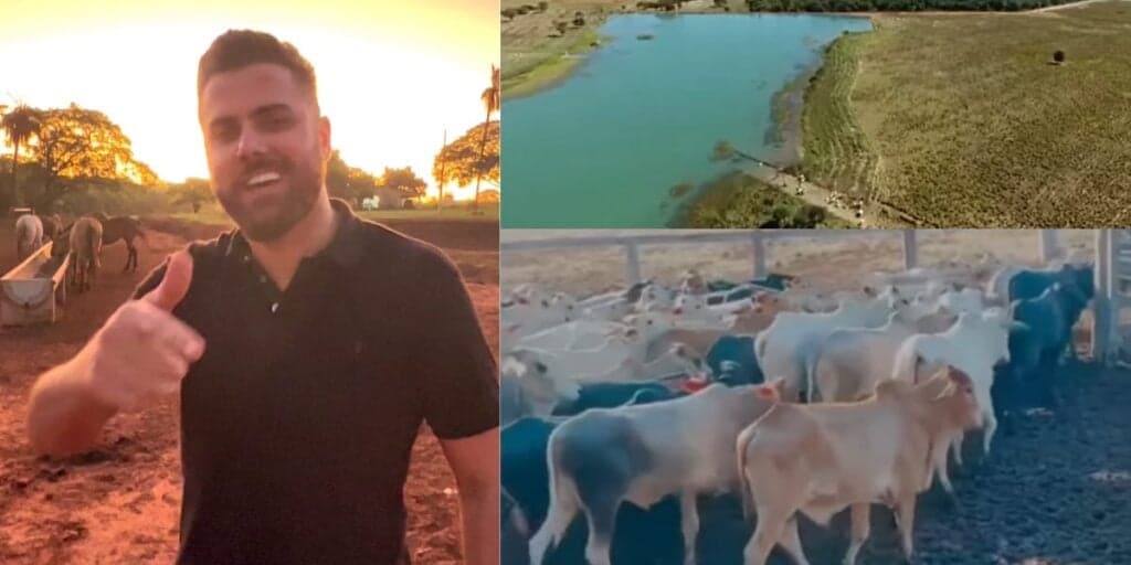 Milhares de cabeças de gado, heliponto e gigante: a fazenda milionária de Zé Neto, dupla de Cristiano