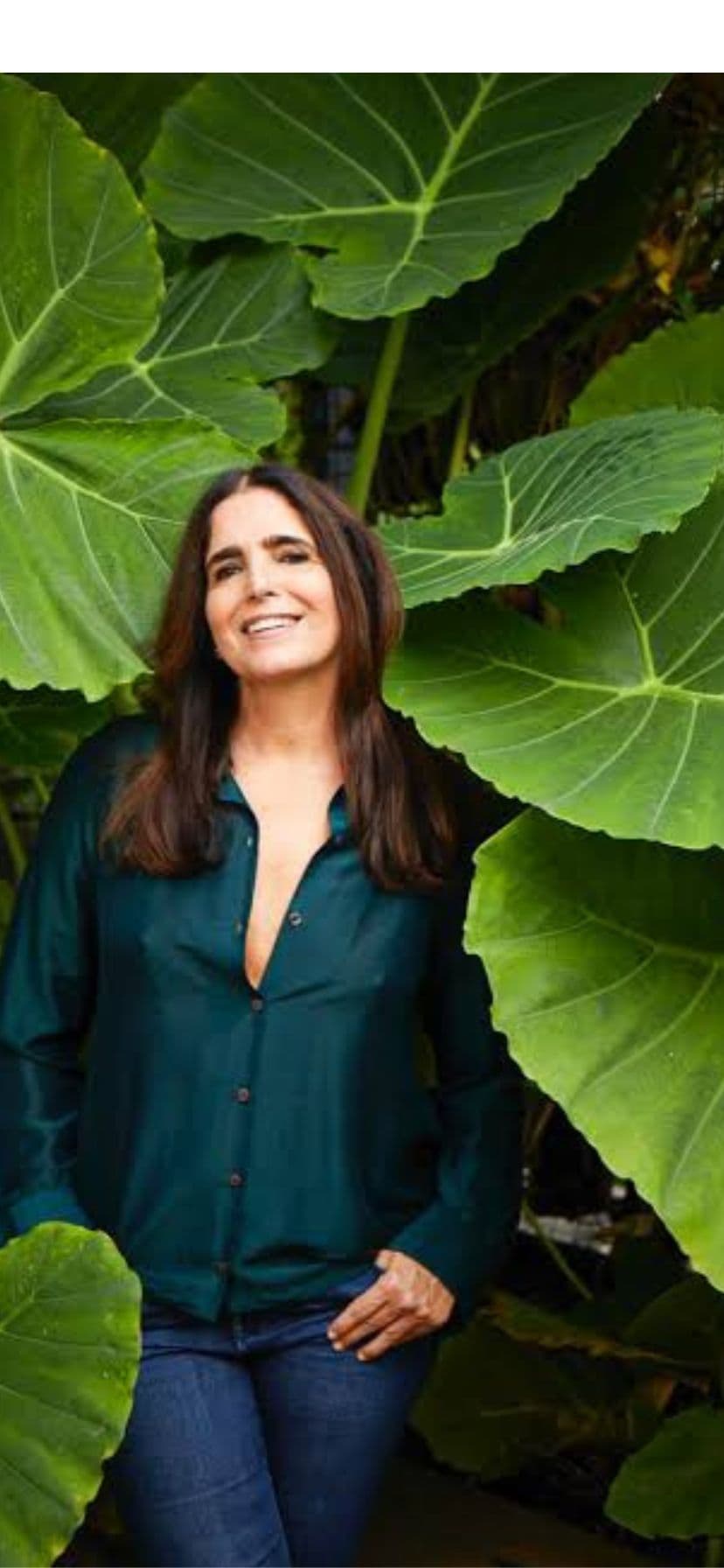 http://tvfoco.uai.com.br/wp-content/uploads/2015/05/Daniela-Mercury.jpg http://tvfoco.uai.com.br/wp-content/uploads/2015/05/Daniela-Mercury.jpg