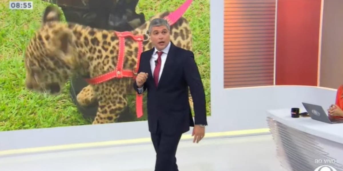 Joel Datena comentou sobre o caso de um filhote de onça foi capturado em Manaus (Reprodução: Bora Brasil Band) Joel Datena comentou sobre o caso de um filhote de onça foi capturado em Manaus (Reprodução: Bora Brasil Band)