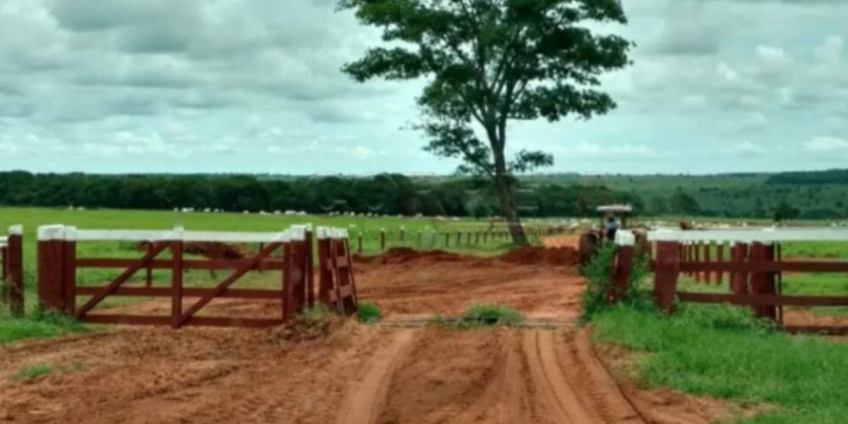 Local de entrada onde fica a criação de gados de Marrone (Reprodução: Youtube) Local de entrada onde fica a criação de gados de Marrone (Reprodução: Youtube)