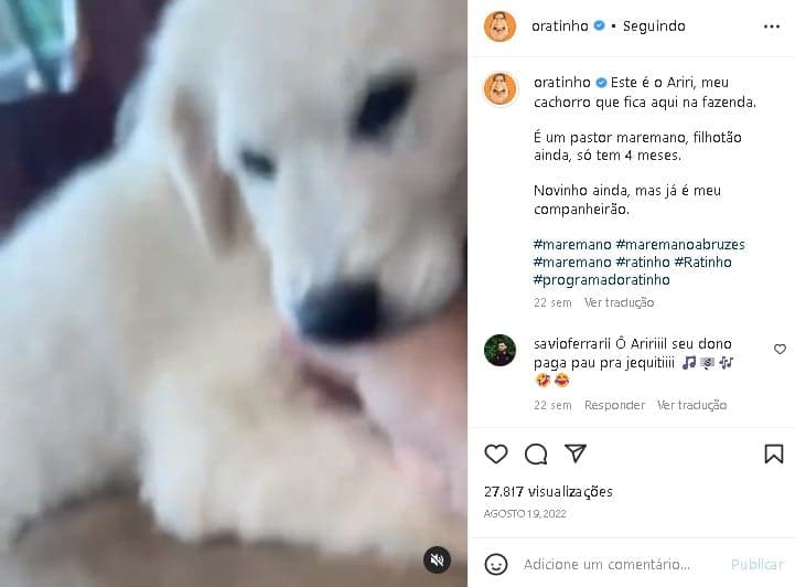 Ratinho surpreendeu ao expor em vídeo o novo integrante de sua família (Foto: Reprodução) Ratinho surpreendeu ao expor em vídeo o novo integrante de sua família (Foto: Reprodução)