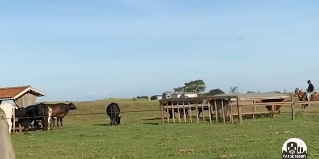 Fazenda Galvão Bueno (Reprodução: Youtube) Fazenda Galvão Bueno (Reprodução: Youtube)