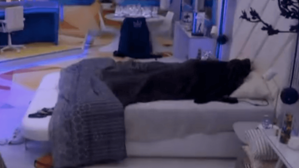 Embaixo do edredom: BBB23 - Key Alves e Cowboy escandalizam na cama e áudio vazado entrega baixaria