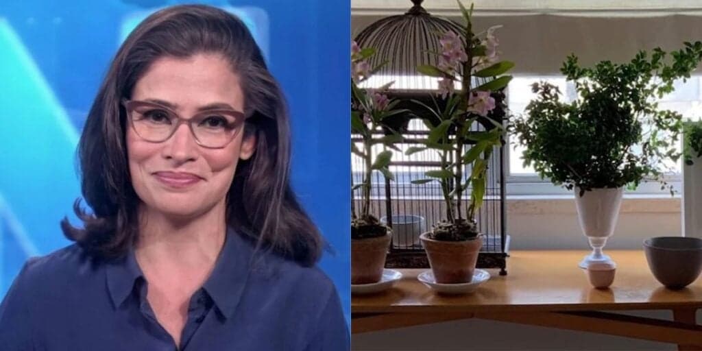 Cheia de simplicidade, com decoração retrô e muitas de plantas: a mansão discreta de Renata Vasconcellos