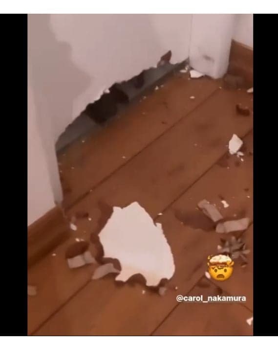 Danni Suzuki mostra imagens da sua casa destruída e assusta Passou dos limites - Foto Reprodução Danni Suzuki mostra imagens da sua casa destruída e assusta Passou dos limites - Foto Reprodução