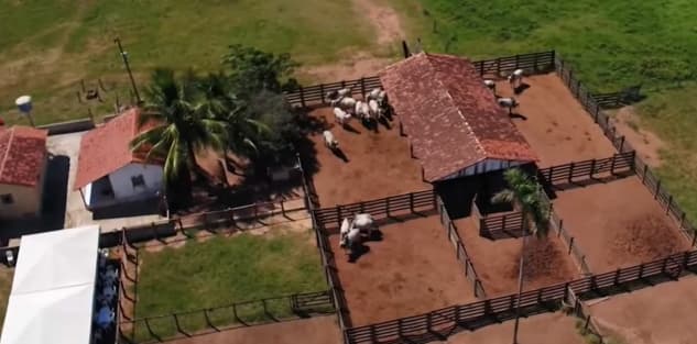 Criação da fazenda de Chitãozinho - Foto Reprodução Youtube Criação da fazenda de Chitãozinho - Foto Reprodução Youtube