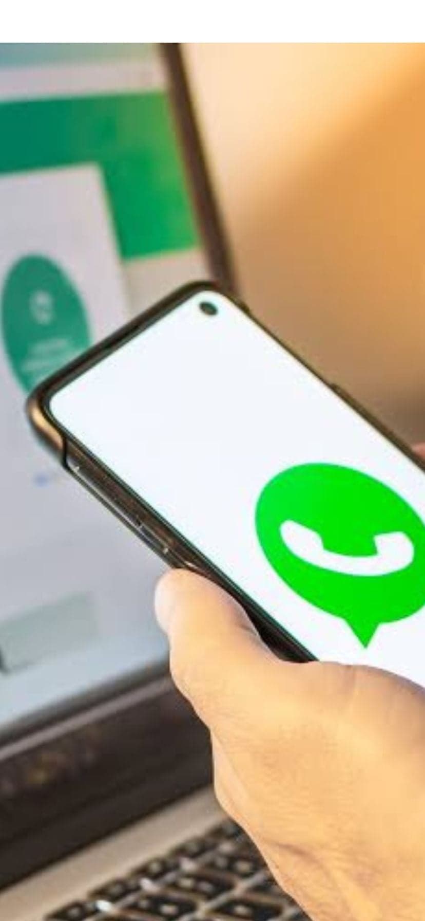 Código 737 gera estranhamento entre usuários do Whatsapp e deixa muitos preocupados (Foto: Reprodução / Internet) Código 737 gera estranhamento entre usuários do Whatsapp e deixa muitos preocupados (Foto: Reprodução / Internet)