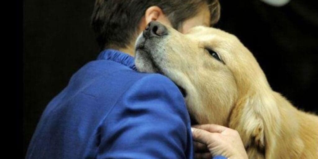 Alerta PERIGO: ESTE alimento que você tem em casa pode MATAR seu cachorro e ele precisa ser protegido