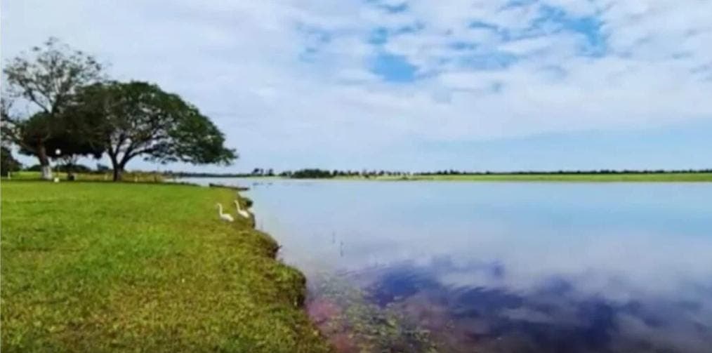 Lago particular onde o cantor realiza pescarias esportivas (Reprodução: Youtube) Lago particular onde o cantor realiza pescarias esportivas (Reprodução: Youtube)