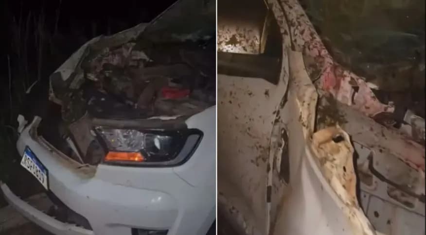 Cantor sertanejo Zé Ottávio se envolve em acidente com animal na estrada - Foto Reprodução Instagram Cantor sertanejo Zé Ottávio se envolve em acidente com animal na estrada - Foto Reprodução Instagram