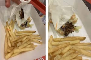 Barata encontrada no meio do lanche do KFC - Foto Internet Barata encontrada no meio do lanche do KFC - Foto Internet