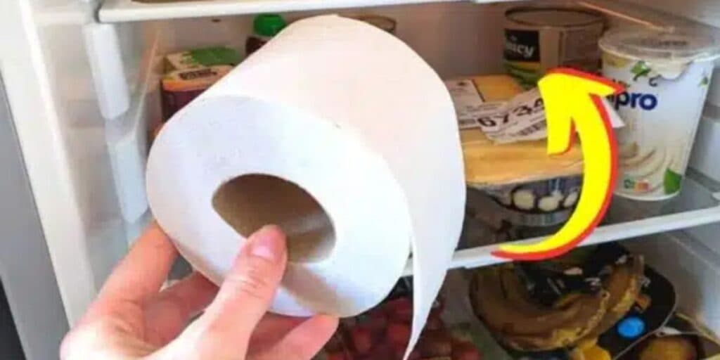 Chocante: Homens e mulheres estão colocando papel higiênico na geladeira por este motivo