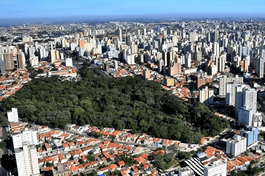 Cidade de Campinas (Foto: Reprodução/ Internet) Cidade de Campinas (Foto: Reprodução/ Internet)