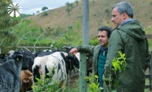 Marcos Palmeira investe há mais de 20 anos na agricultura orgânica - Foto Internet Marcos Palmeira investe há mais de 20 anos na agricultura orgânica - Foto Internet