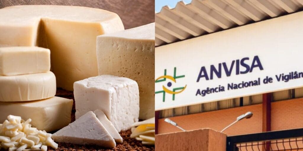 A proibição da ANVISA contra marca de queijo - Fotos Canva Internet A proibição da ANVISA contra marca de queijo - Fotos Canva Internet