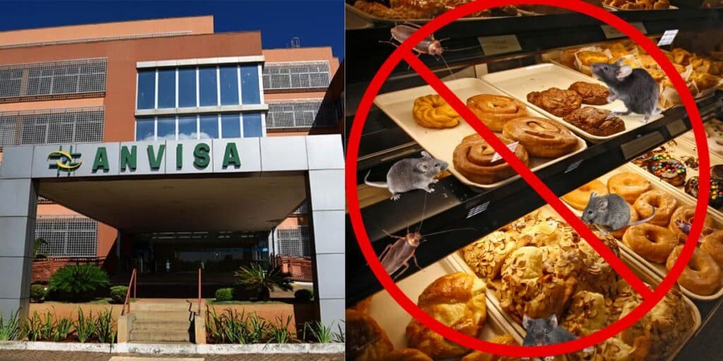 Fachada da Anvisa e Padaria interditada com ratos e baratas - Foto Reprodução Internet Fachada da Anvisa e Padaria interditada com ratos e baratas - Foto Reprodução Internet