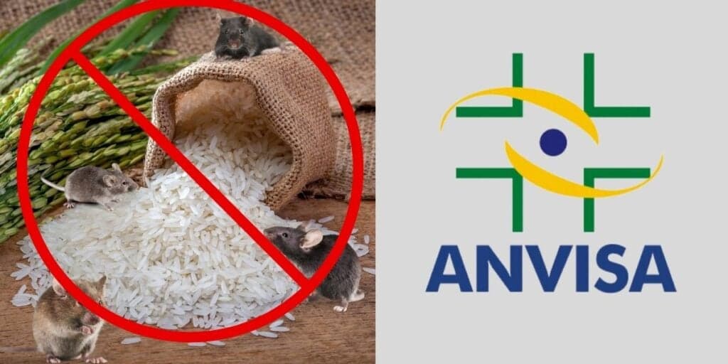 Fezes de rato e larvas: A proibição da ANVISA contra marca de arroz, retirada dos mercados e situação HOJE (17)