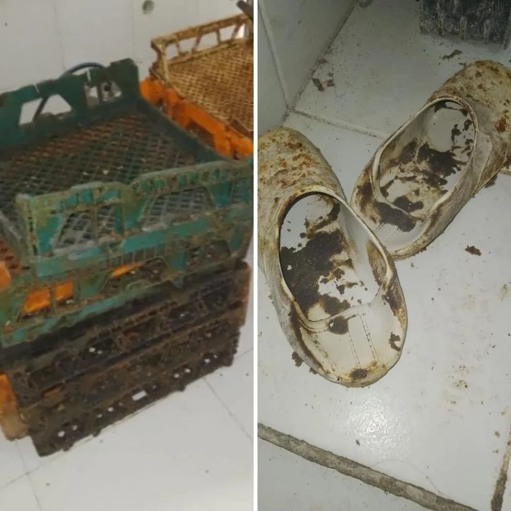 Padaria que foi interditada durante fiscalização da Vigilância Sanitária em Maceió, no estado de Alagoas - Foto Reprodução g1 Padaria que foi interditada durante fiscalização da Vigilância Sanitária em Maceió, no estado de Alagoas - Foto Reprodução g1