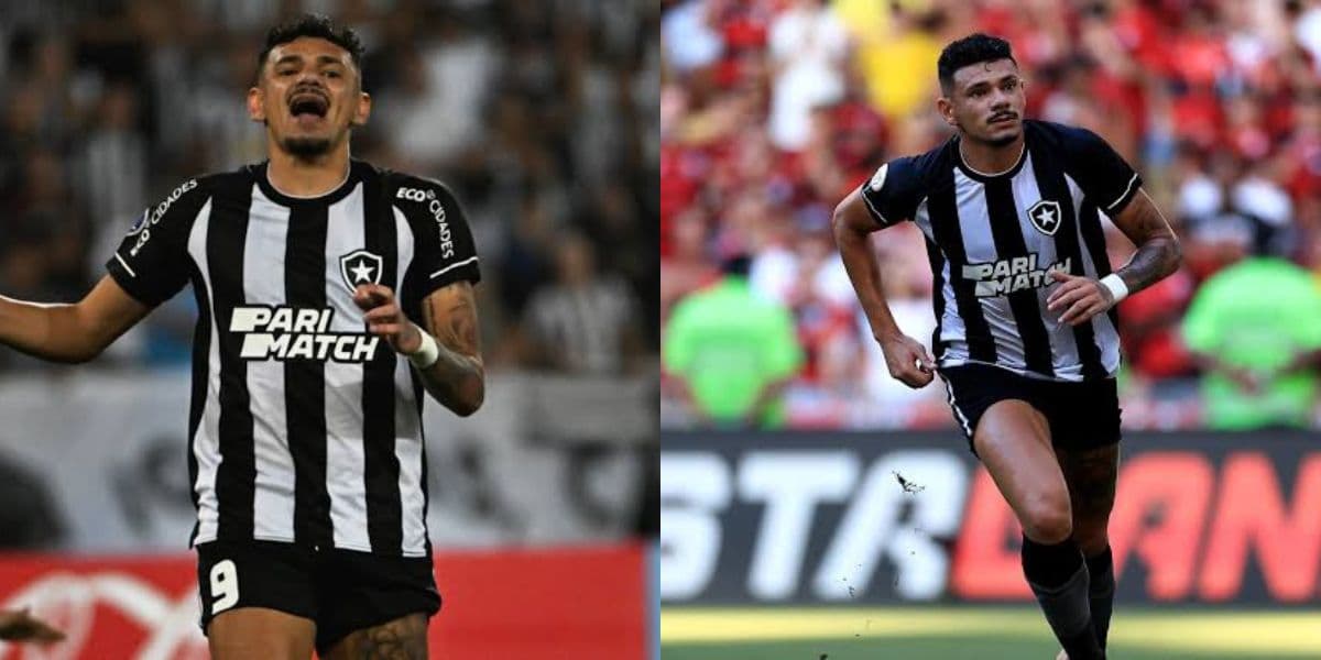 Tiquinho Soares, atacante do Botafogo (Foto - Montagem TV Foco). Tiquinho Soares, atacante do Botafogo (Foto - Montagem TV Foco).