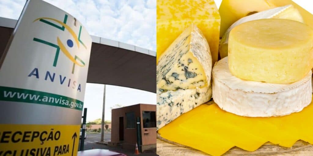 Infecção e convulsões: A PROIBIÇÃO da ANVISA contra 3 marcas de queijo arrancadas dos mercados e decreto HOJE