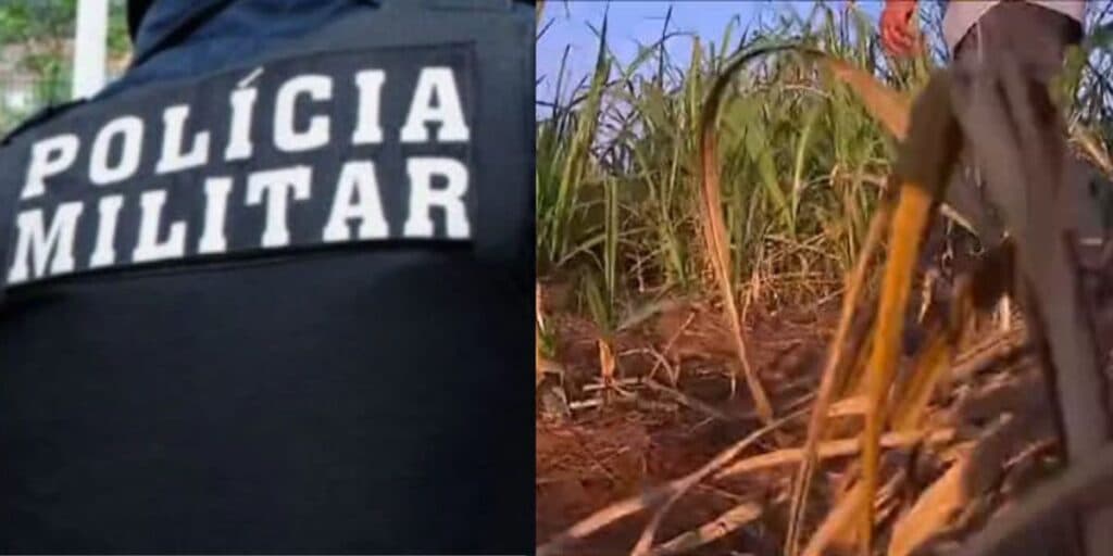 Ritual MACABRO: Homem tem a cabeça decapitada e corpo é encontrado jogado no meio de matagal em São Paulo