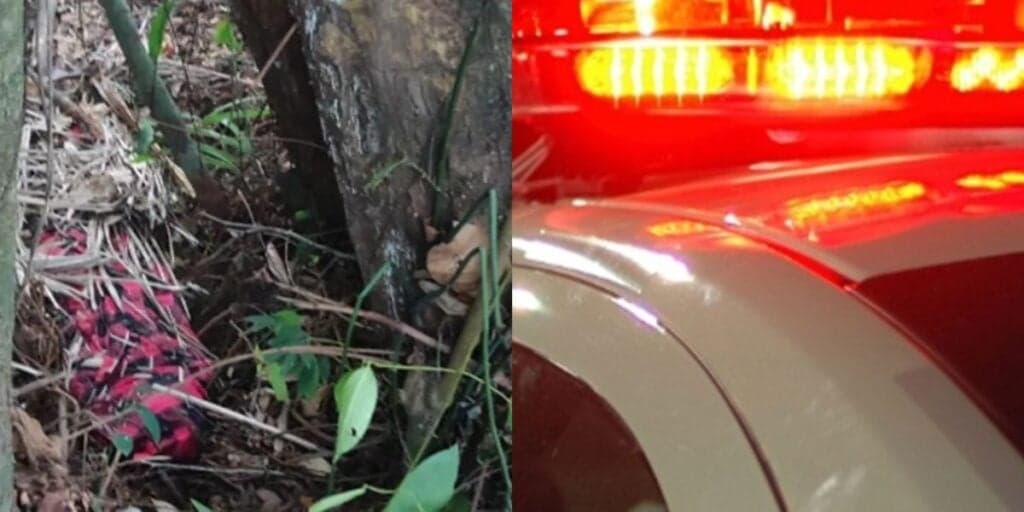 Brutalidade: Mãe mata a própria filha de 11 anos, a enrola na rede e polícia encontra o corpo em decomposição