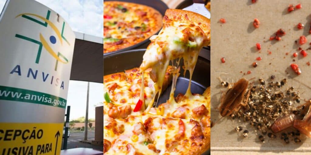 Proibição urgente: Pizzaria tradicional acaba de ser INTERDITADA pela Anvisa por contaminação com baratas