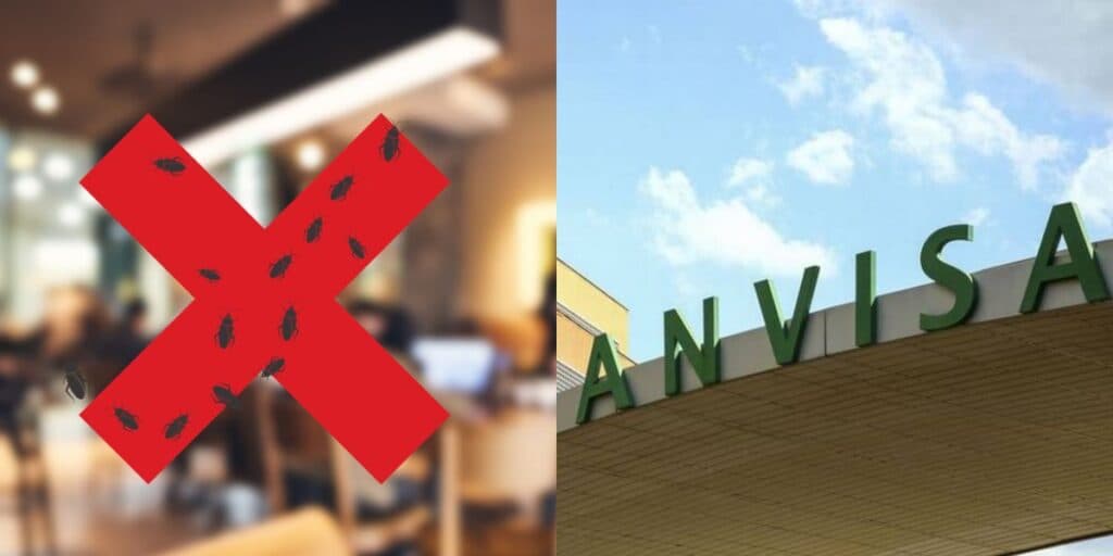 Ordem da ANVISA e ratos encontrados: A interdição às pressas da Vigilância Sanitária contra restaurante