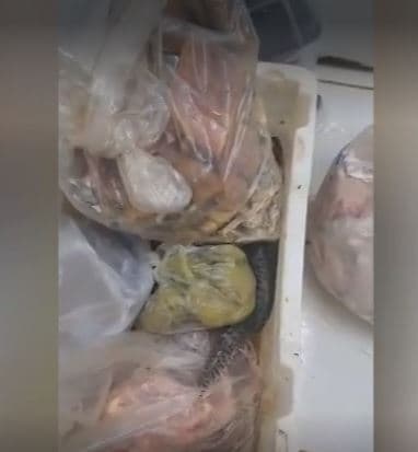 Fiscais do Procon encontram quase 100 kg de carnes podres com moscas e baratas em supermercado de Goiânia - Foto Divulgação Procon Goiás Fiscais do Procon encontram quase 100 kg de carnes podres com moscas e baratas em supermercado de Goiânia - Foto Divulgação Procon Goiás