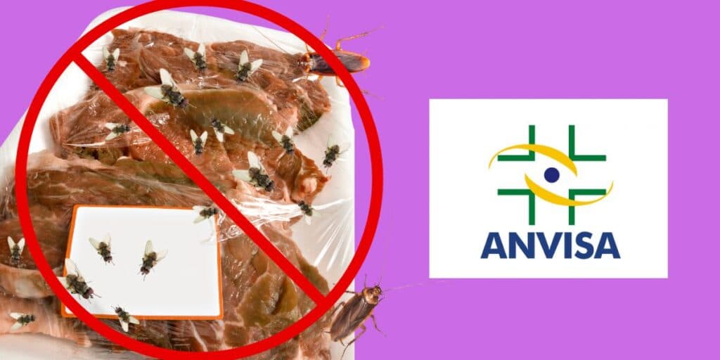 Ordem da Anvisa: Supermercado tradicional é desmascarado com 100 kg de carne podre e é interditado às pressas