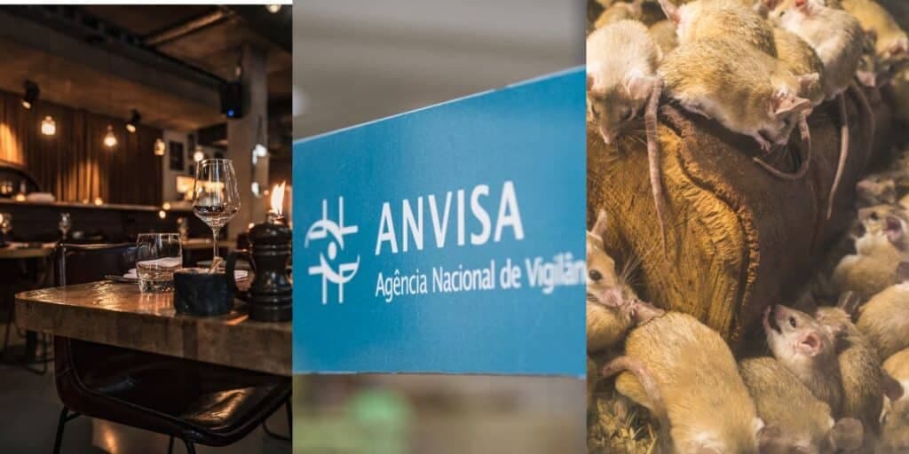 Ratos, baratas e 100kg de alimento podre: Decreto da ANVISA fecha pizzaria que você ama ir no shopping