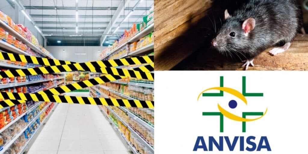 Ratos, comida podre, insalubridade e ordem da ANVISA: A interdição às pressas de mercado tradicional do RJ